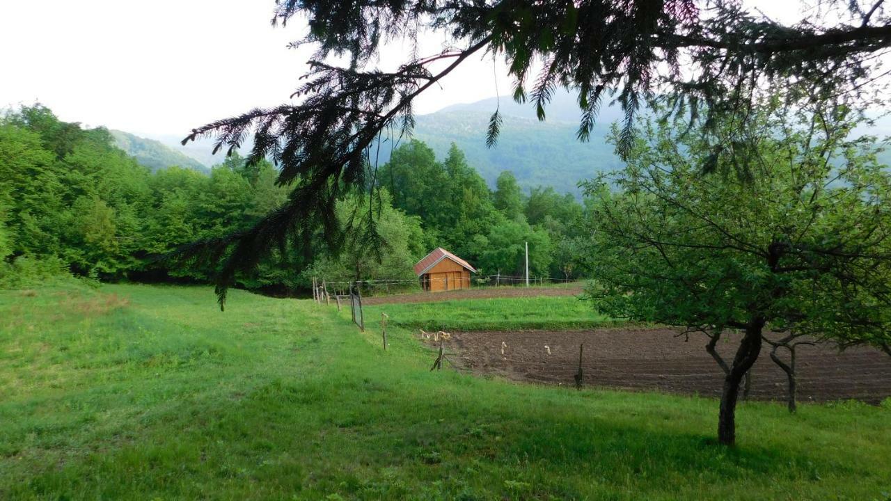Robinzonski Turizam "Robin' S Hood" Skrad Kültér fotó
